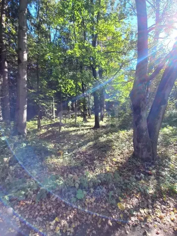 Участок в Московская область, Солнечногорск городской округ, пос. ... - Фото 2