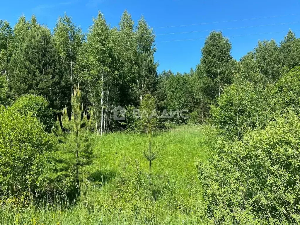 Участок в Калужская область, Медынский муниципальный округ, ... - Фото 1