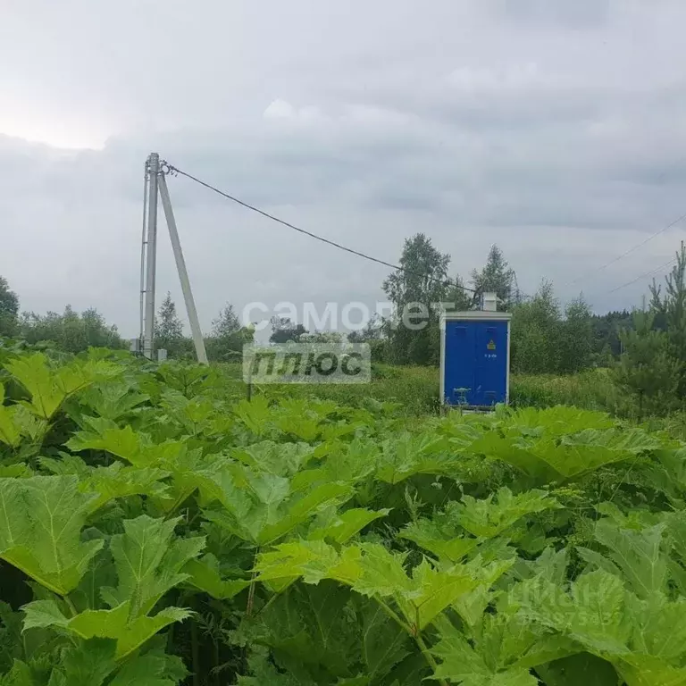 помещение свободного назначения в московская область, химки городской . - Фото 1