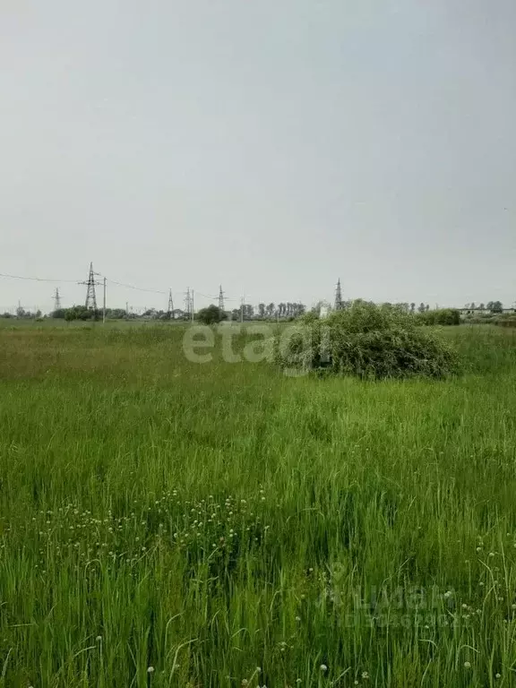 участок в амурская область, благовещенский район, с. волково (14.7 . - Фото 1