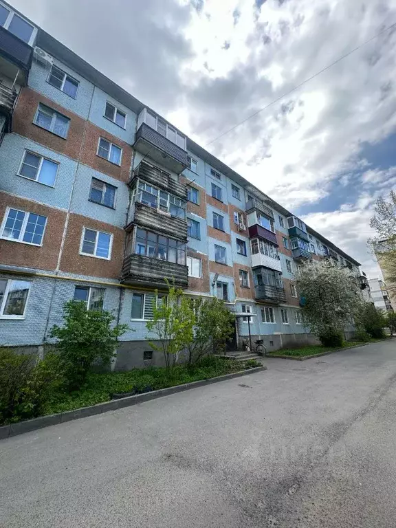 1-к кв. Псковская область, Псков Красноармейская ул., 26 (33.3 м) - Фото 1
