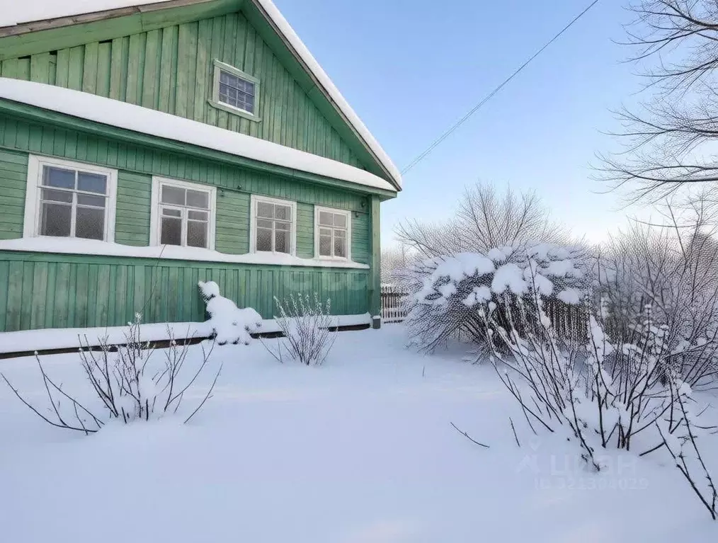 Дом в Новгородская область, Любытинский район, Неболчское с/пос, д. ... - Фото 1