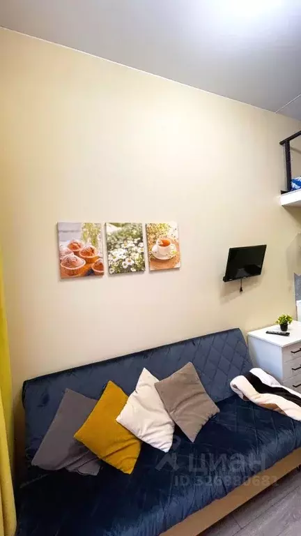 Студия Санкт-Петербург ул. Марата, 77 (19.0 м) - Фото 1