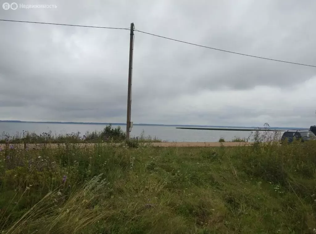Участок в Куньинский район, Каськовская волость, деревня Камено (15 м) - Фото 0
