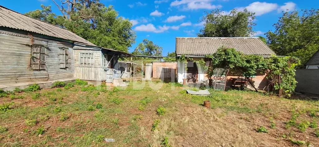 Дом в Краснодарский край, Каневская ст-ца ул. Свердликова, 153 (50 м) - Фото 1