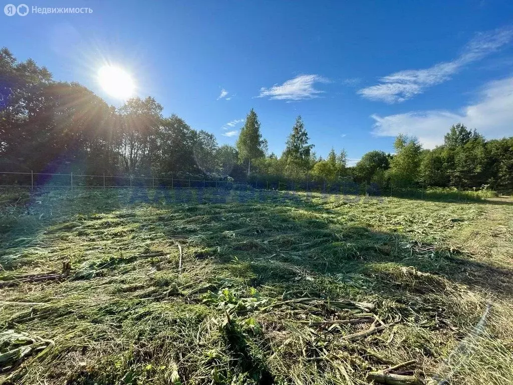 Участок в Ярославская область, Переславль-Залесский муниципальный ... - Фото 1