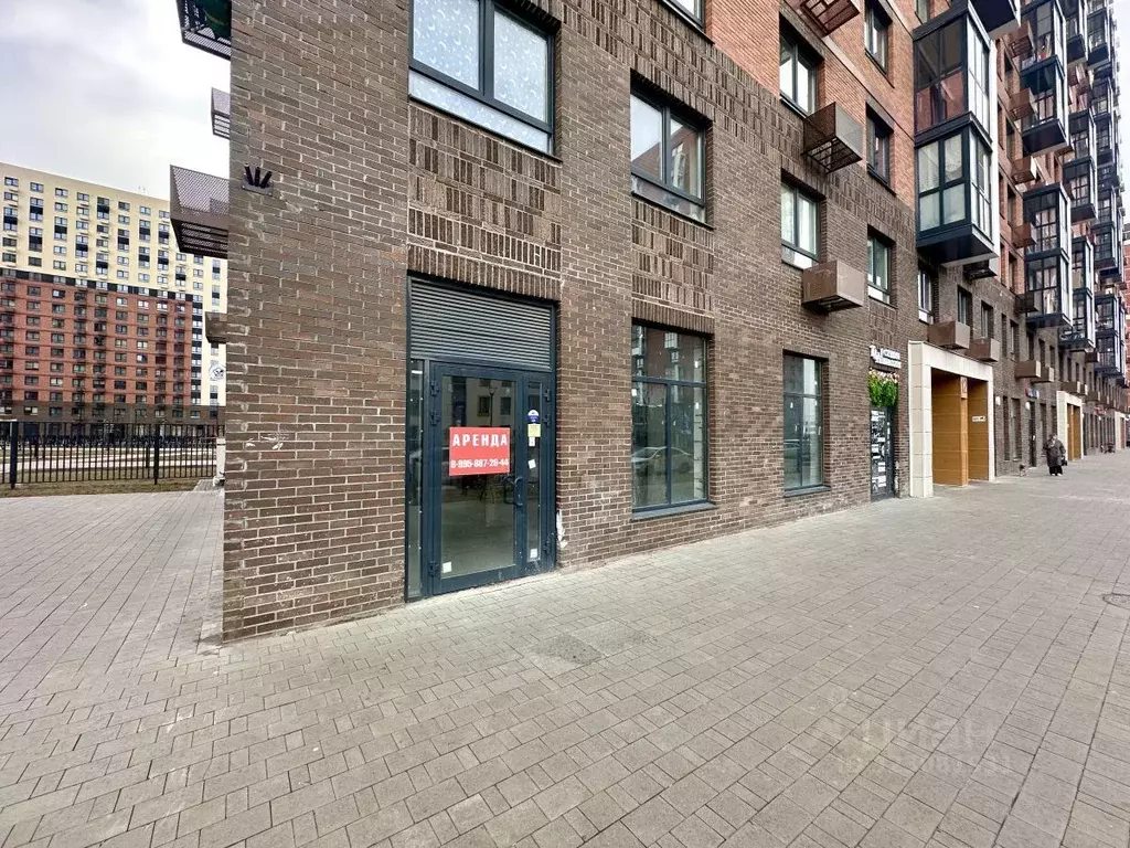 Торговая площадь в Московская область, Люберцы городской округ, Мирный ... - Фото 2