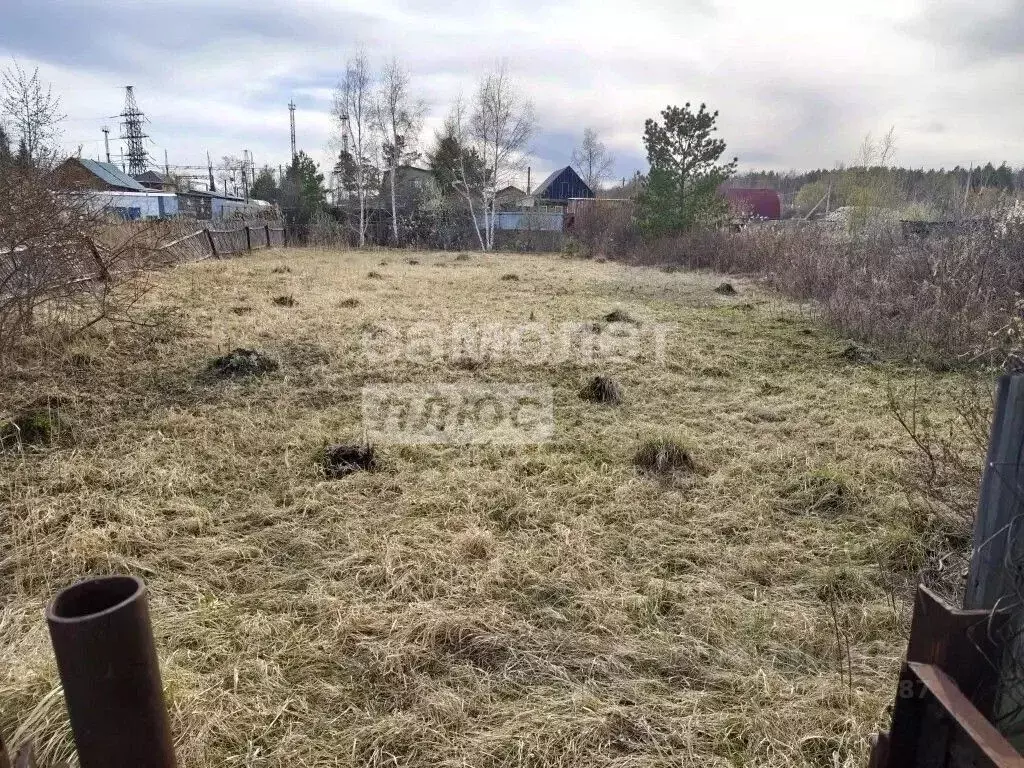 Участок в Омская область, Омск СОСН Керамик-3 тер., аллея 3 (7.0 сот.) - Фото 1