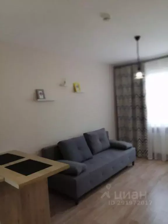 Студия Санкт-Петербург дор. Муринская, 25к2 (24.0 м) - Фото 0