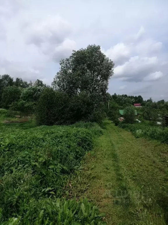 Участок в Ленинградская область, Лужский район, д. Ретюнь  (9.0 сот.) - Фото 2