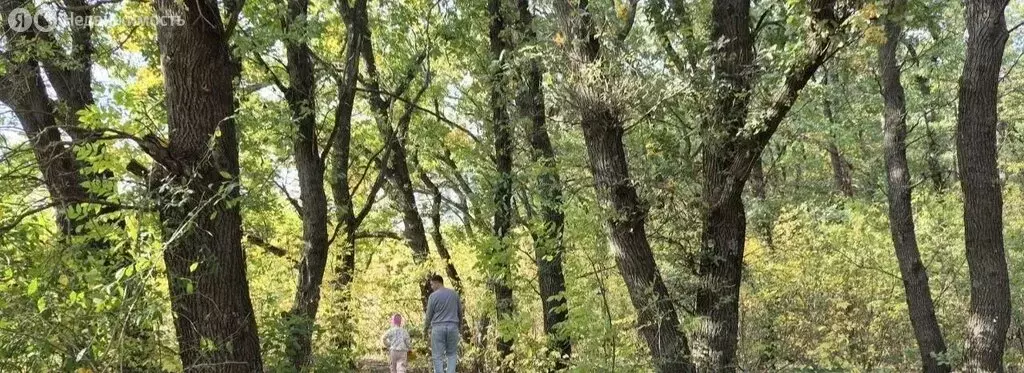 Участок в Щепкинское сельское поселение, посёлок Темерницкий (5 м) - Фото 2