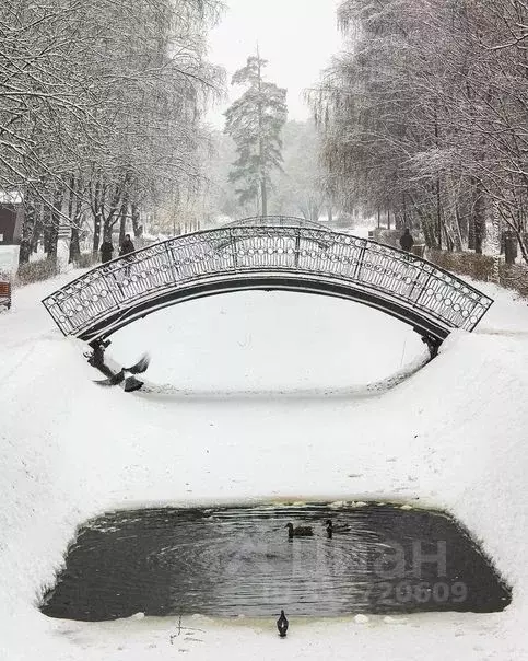 1-к кв. Татарстан, Казань ул. Гагарина, 115 (31.5 м) - Фото 0