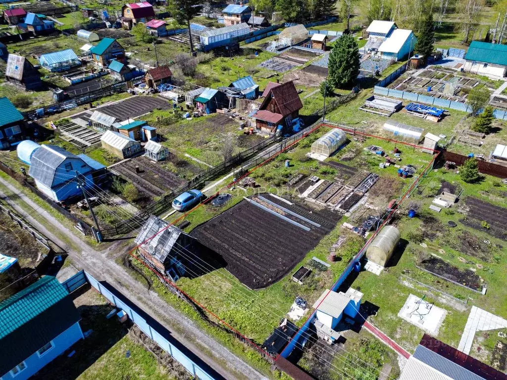 Участок в Томская область, Томский район, Геофизик садовые участки  ... - Фото 2