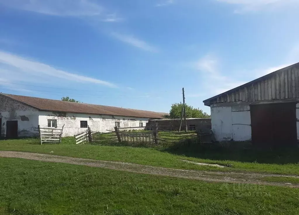 Производственное помещение в Алтайский край, Краснощековский район, ... - Фото 1
