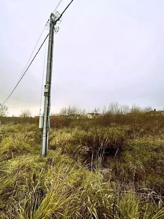 Участок в Ленинградская область, Всеволожский район, Колтушское ... - Фото 1