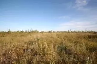 Участок в Ямало-Ненецкий АО, Новый Уренгой ул. 9-я Запрудная, 9 (6.0 ... - Фото 0