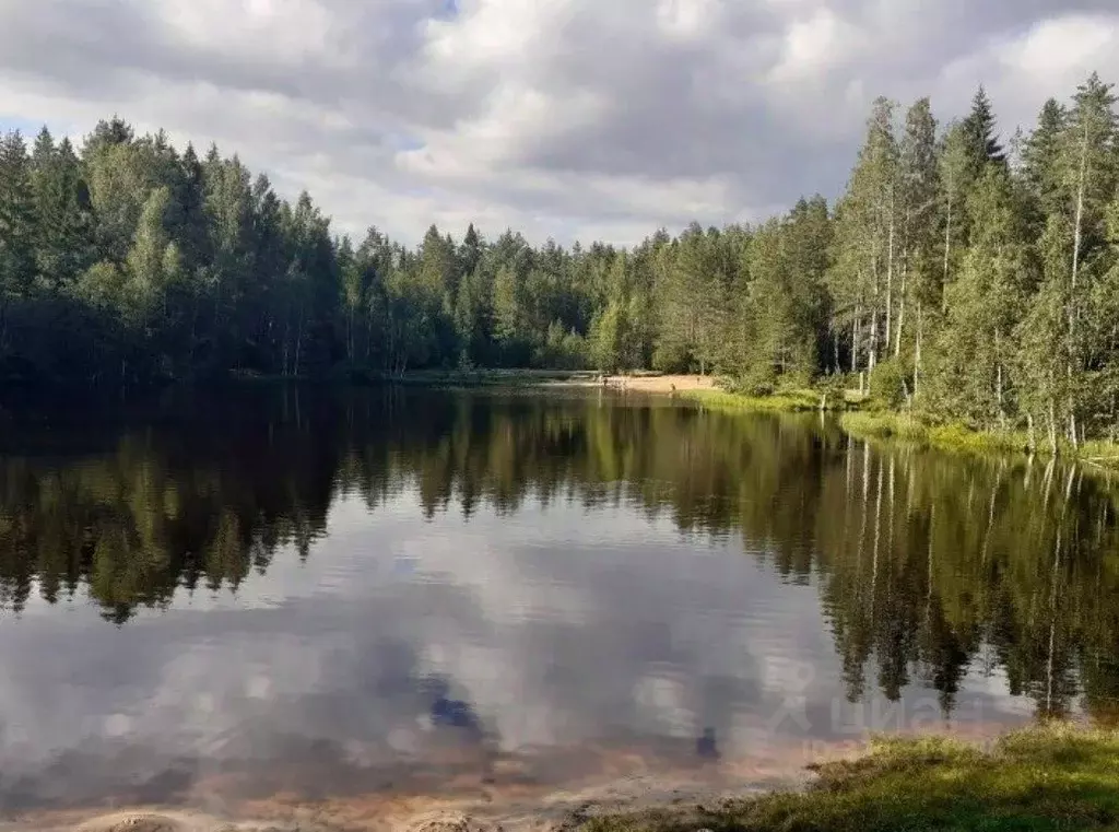 Участок в Ленинградская область, Выборгский район, Рощинское городское ... - Фото 1