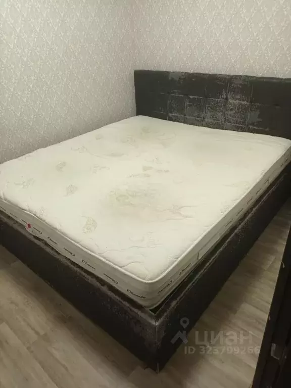 2-к кв. Ростовская область, Ростов-на-Дону 2-я Краснодарская ул., ... - Фото 2