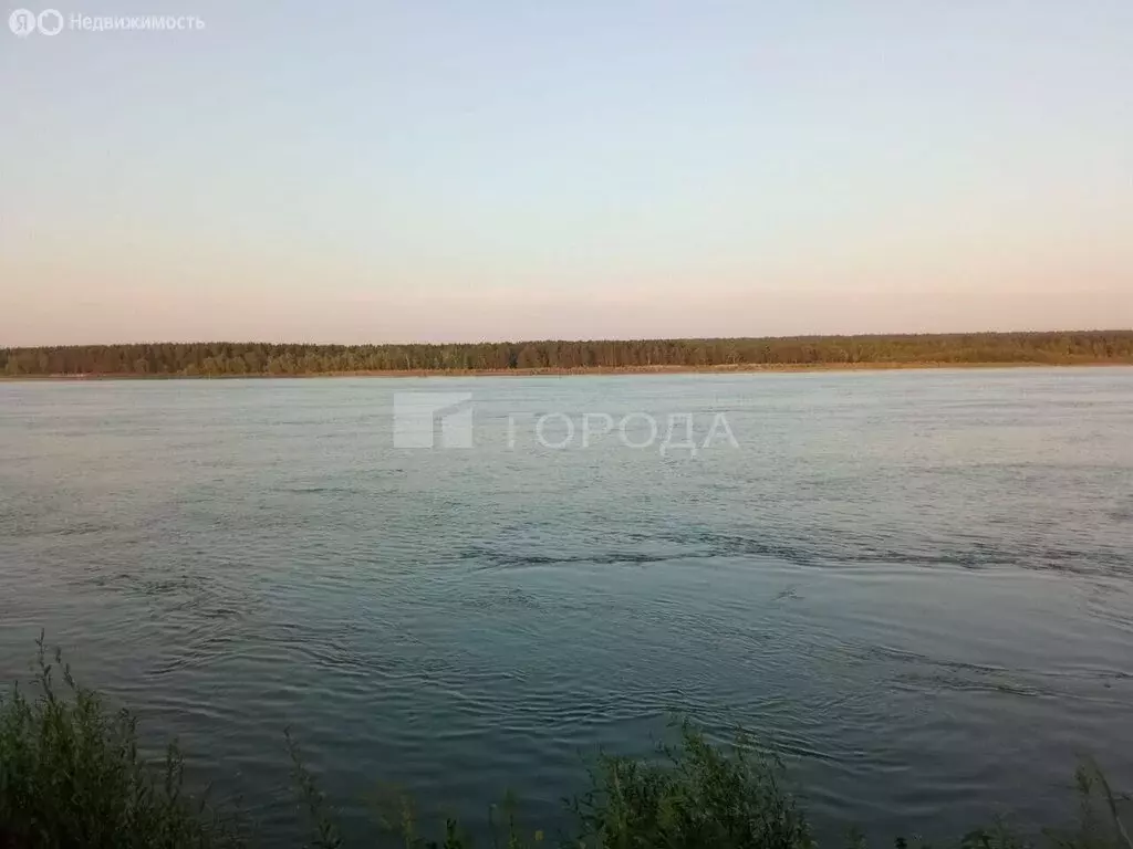 Дом в Колыванский район, садовые участки Казачий, Рыбачья улица, 101 ... - Фото 0