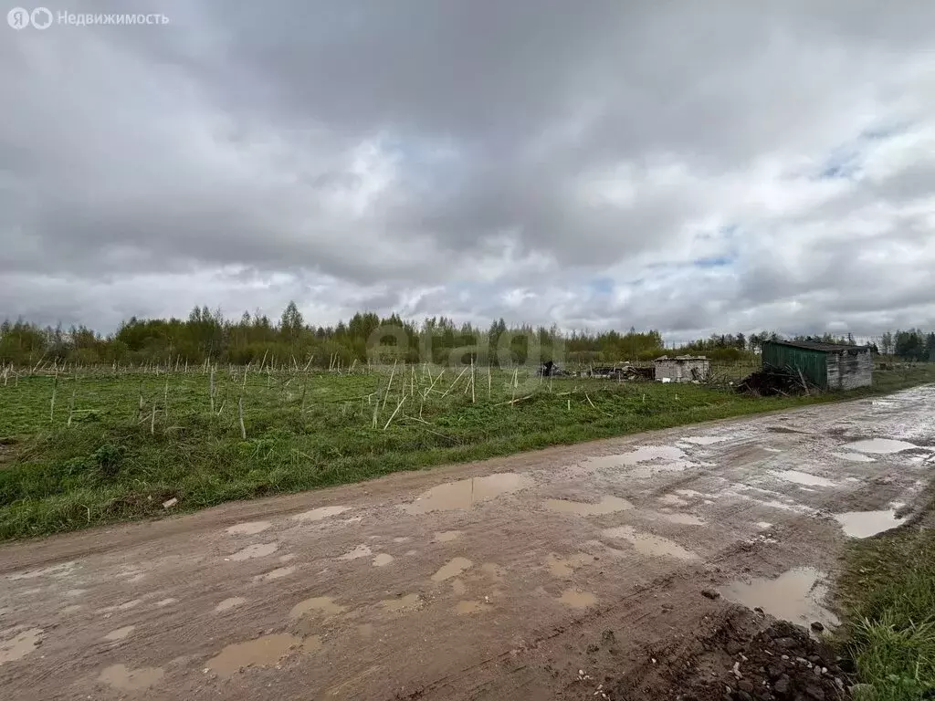 Участок в Тверская область, Калининский муниципальный округ, деревня ... - Фото 1
