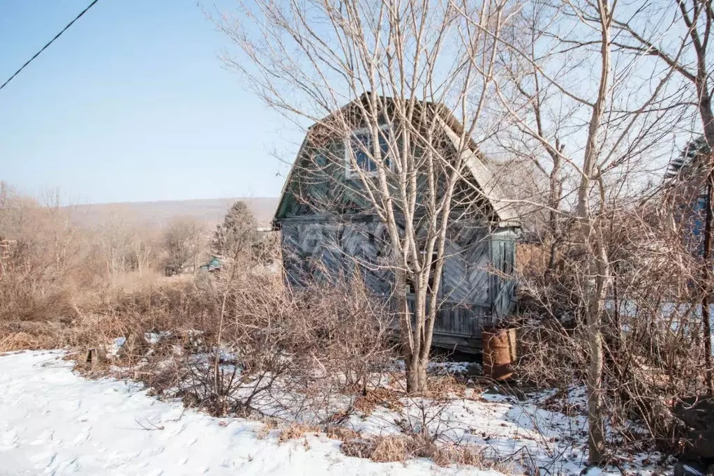 Участок в Приморский край, Надеждинский район, Букет СНТ  (6.0 сот.) - Фото 1