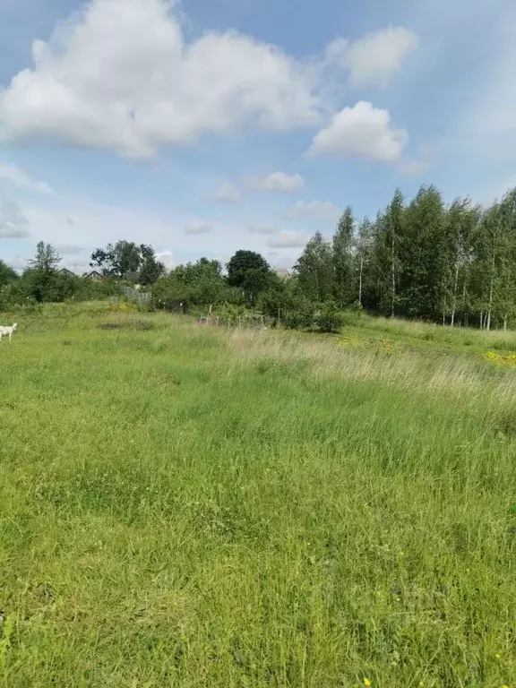 Участок в Московская область, Коломна городской округ, д. Молитвино  ... - Фото 0