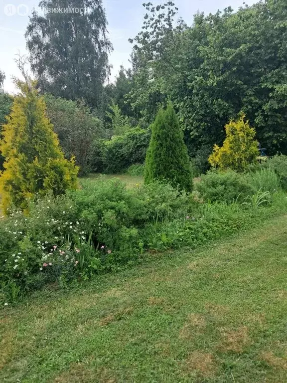 Дом в Ярославская область, Некрасовский муниципальный округ, деревня ... - Фото 1