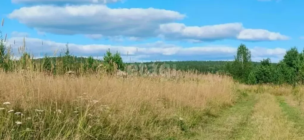 Участок в Свердловская область, Горноуральский городской округ, с. ... - Фото 0