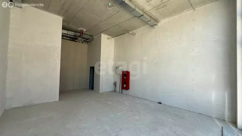 Помещение свободного назначения (55.6 м) - Фото 2