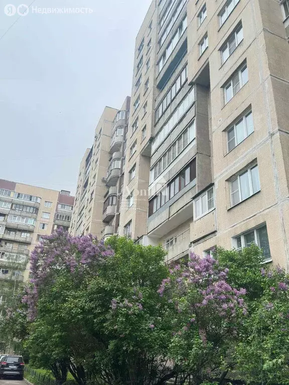 1-комнатная квартира: Санкт-Петербург, улица Олеко Дундича, 35к1 (39 ... - Фото 1