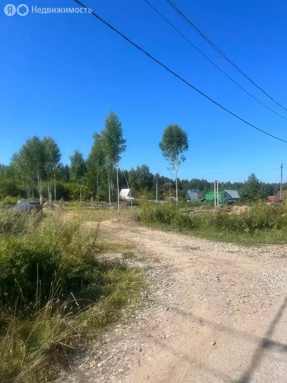 Участок в Пермский муниципальный округ, деревня Тупица, Южная улица ... - Фото 1