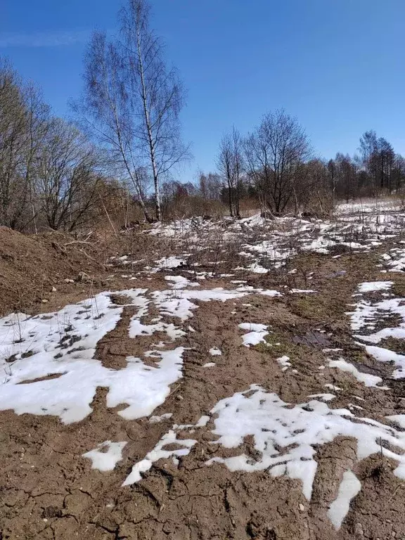 Участок в Тверская область, Конаковский муниципальный округ, д. Ручьи ... - Фото 2