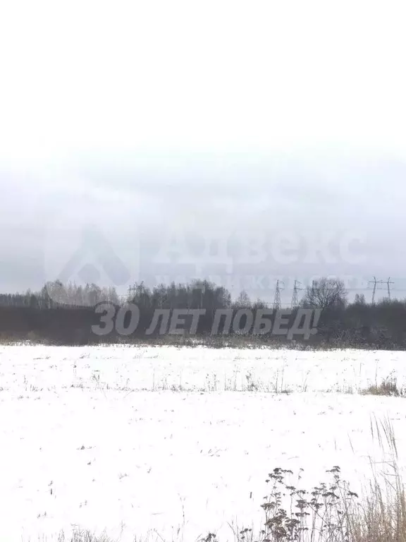 Участок в Тюменская область, Тюменский район, с. Каменка  (6.43 сот.) - Фото 2