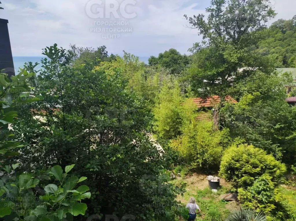 Участок в Краснодарский край, Сочи ул. Ручей Видный (8.0 сот.) - Фото 1