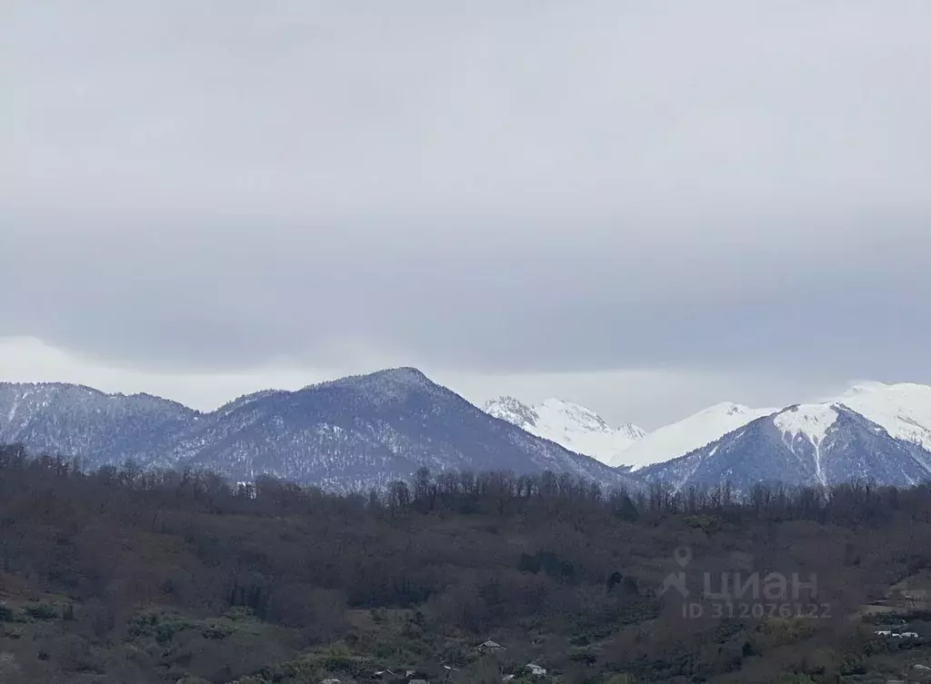 Участок в Краснодарский край, Сочи городской округ, с. Нижняя Шиловка ... - Фото 0