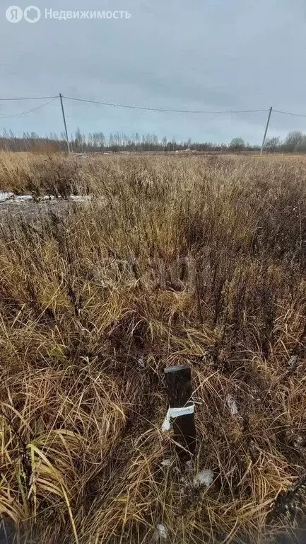 Участок в Кострома, Фабричный район (12.2 м) - Фото 1