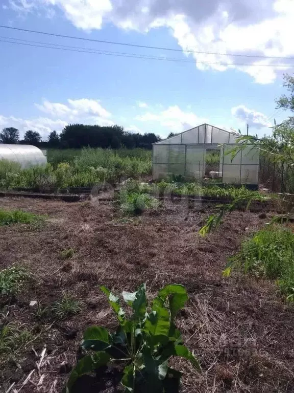 Участок в Орловская область, Урицкий район, Богдановское с/пос, пос. ... - Фото 2