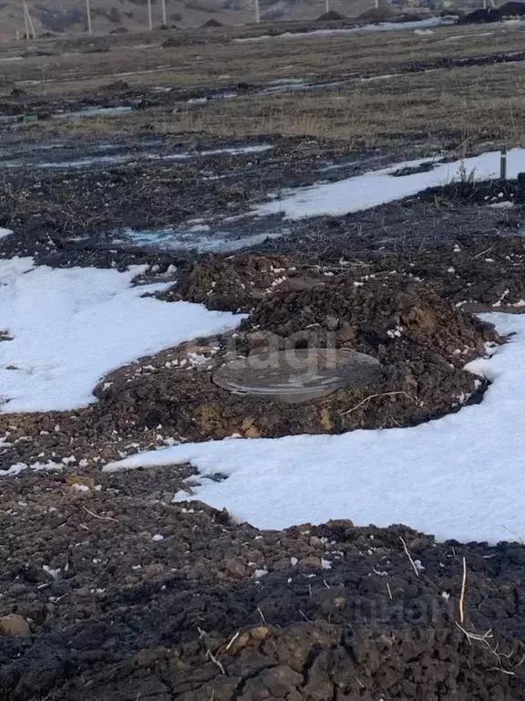 Участок в Белгородская область, Белгородский район, Головинское с/пос, ... - Фото 2