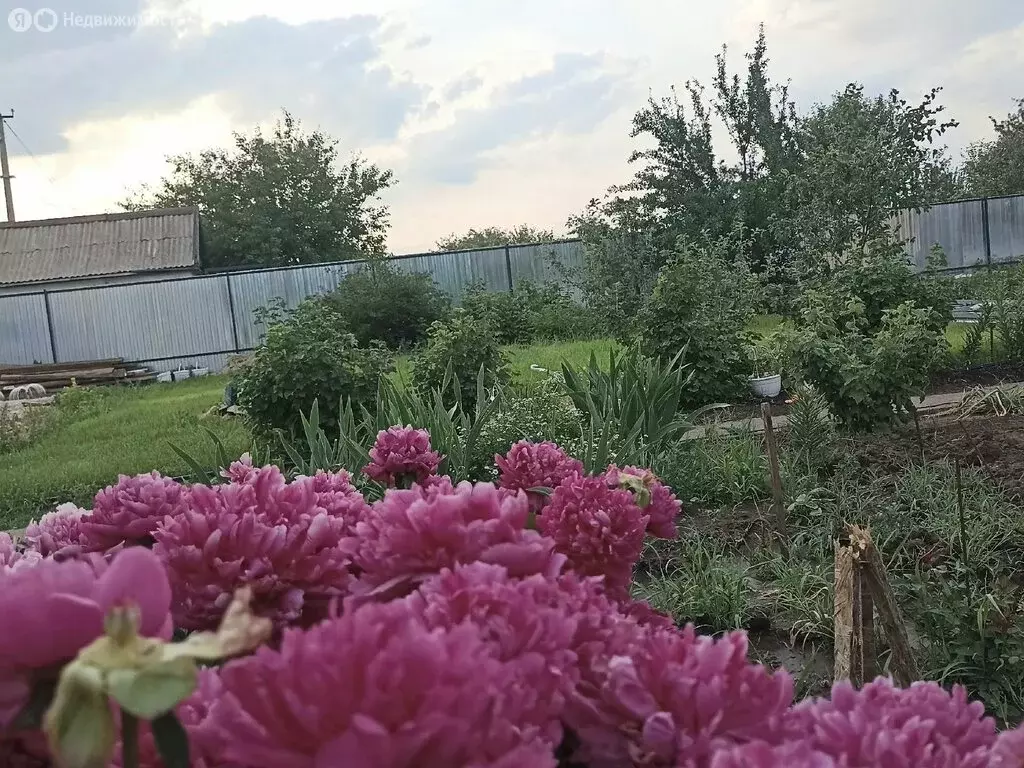 Участок в Балаково, СНТ Цемент, Лесная улица (6.3 м) - Фото 1