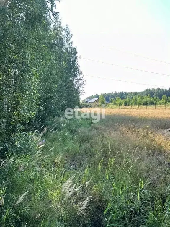 Участок в Ленинградская область, Всеволожский район, Свердловское ... - Фото 0