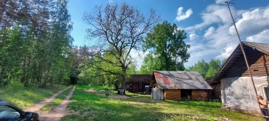 Дом в Псковская область, Печорский муниципальный округ, д. Буравцы  ... - Фото 0
