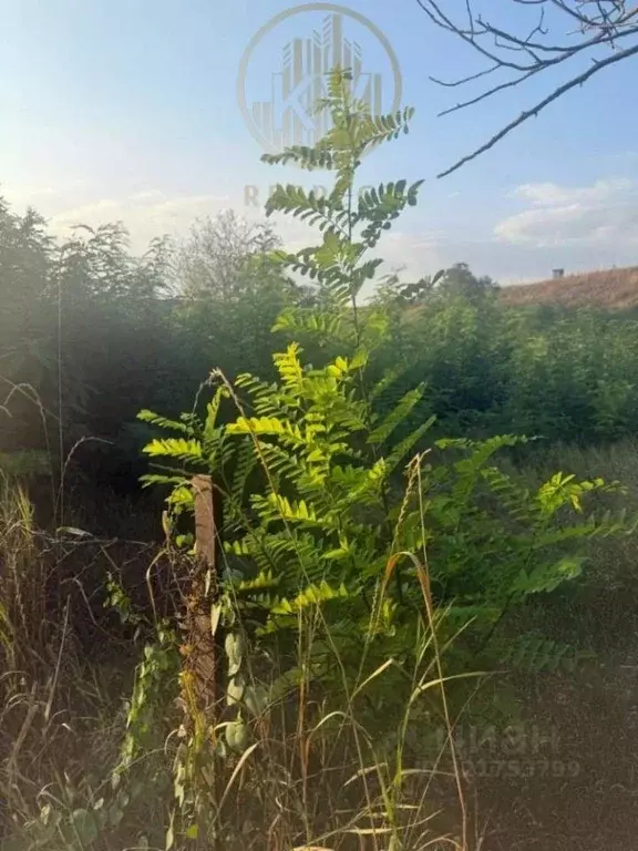 Участок в Ставропольский край, Минеральные Воды Кисловодская ул. (5.0 ... - Фото 2