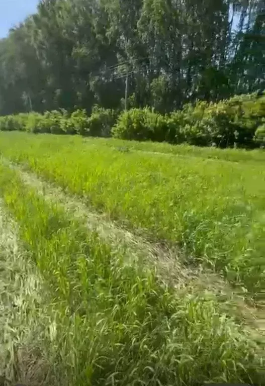 Участок в Свердловская область, Екатеринбург тракт Полевской (6.5 ... - Фото 2