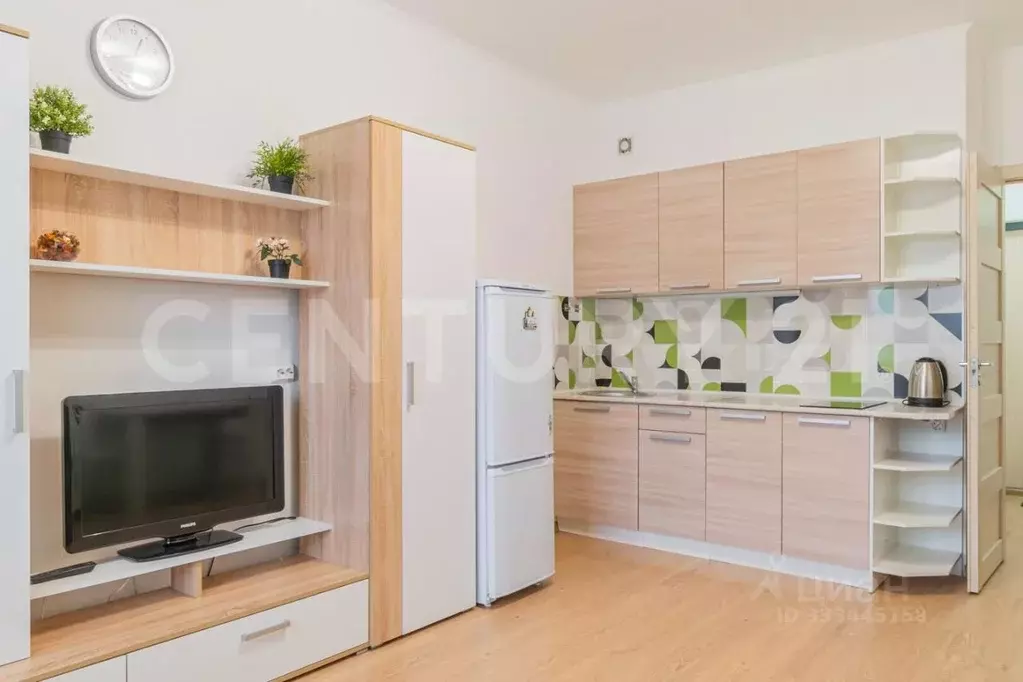 Студия Санкт-Петербург Комендантский просп., 69 (28.0 м) - Фото 2