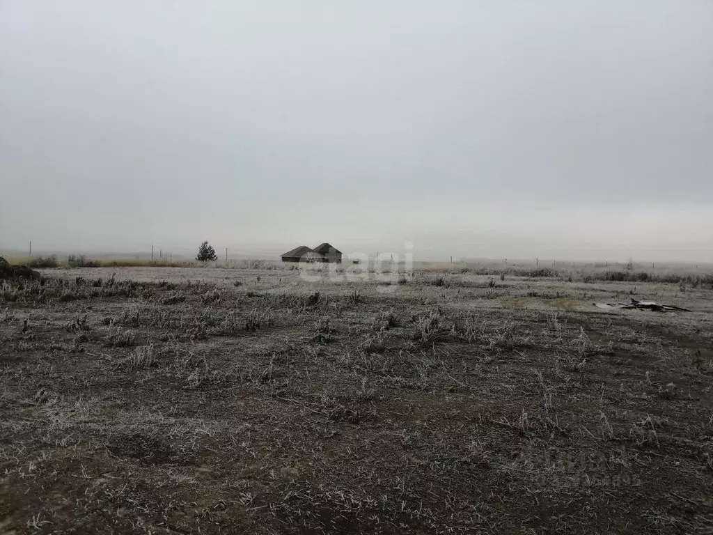 Участок в Курская область, Курский район, Моковский сельсовет, д. ... - Фото 0