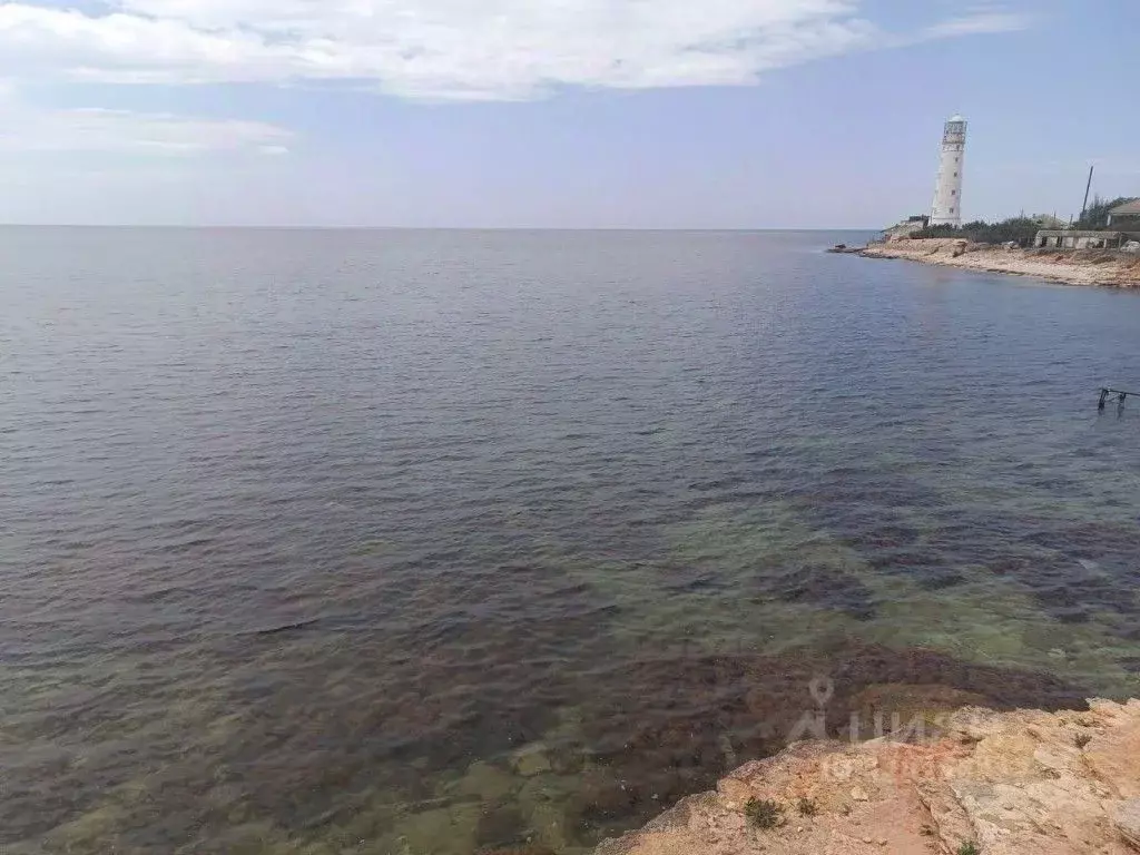 Участок в Крым, Черноморский район, Оленевское с/пос, с. Оленевка  ... - Фото 2