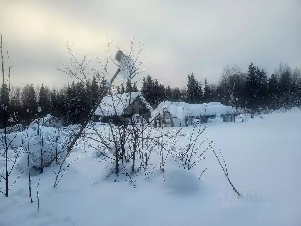 Участок в Коми, Сыктывдинский район, Выльгорт муниципальное ... - Фото 2