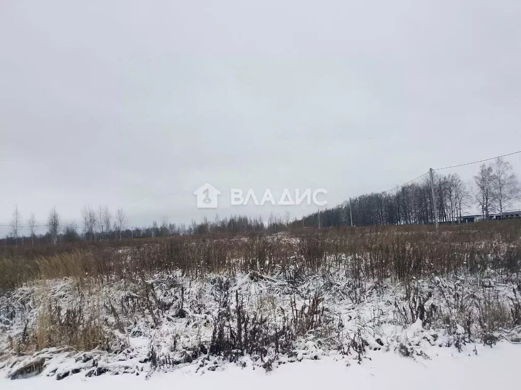 Участок в Нижегородская область, с. Безводное  (14.95 сот.) - Фото 2