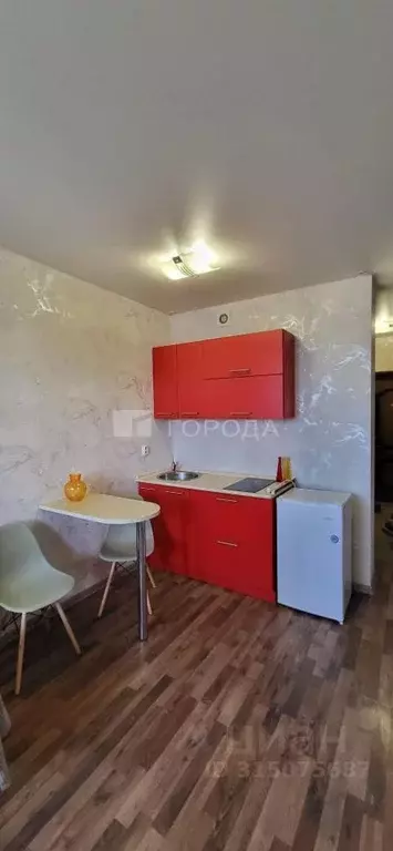 Студия Новосибирская область, Новосибирск ул. Виктора Уса, 15/2 (20.0 ... - Фото 1