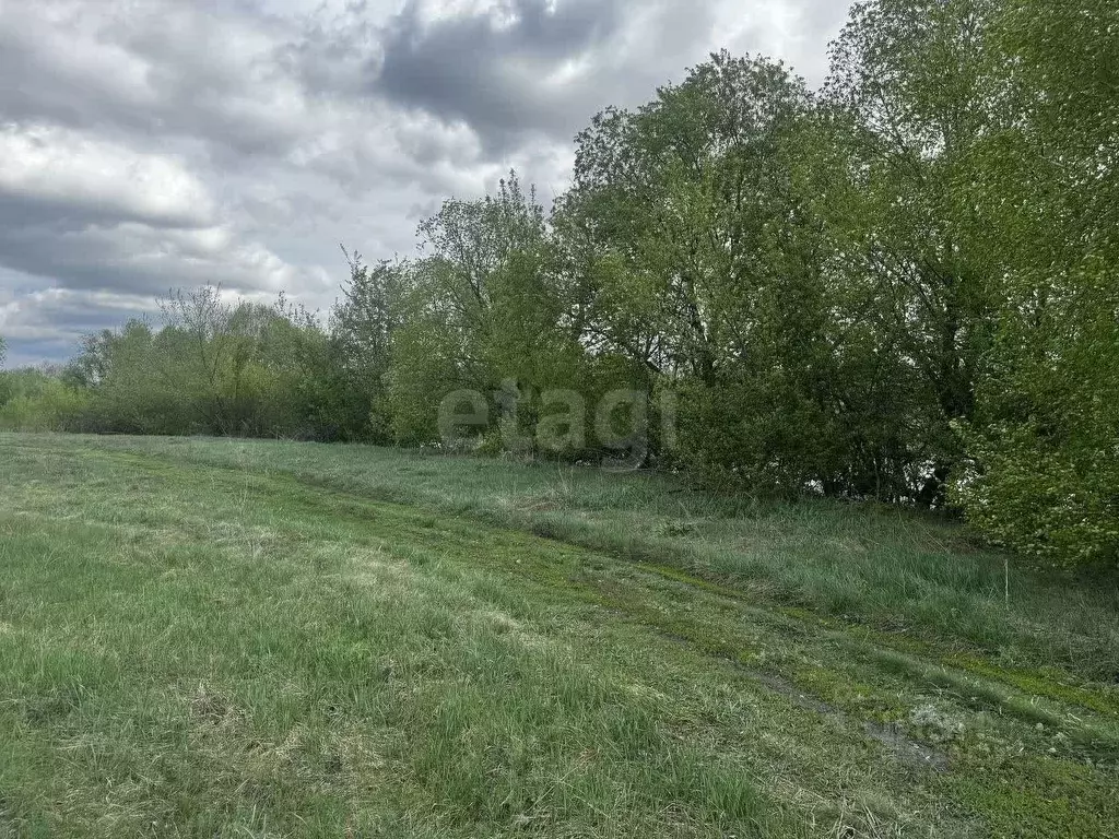 Участок в Воронежская область, с. Новая Усмань  (119.12 сот.) - Фото 1